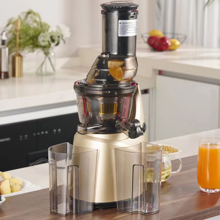 Best Stainless Steel 60 Househ - Electric Slow Juicer Cold Press review and price