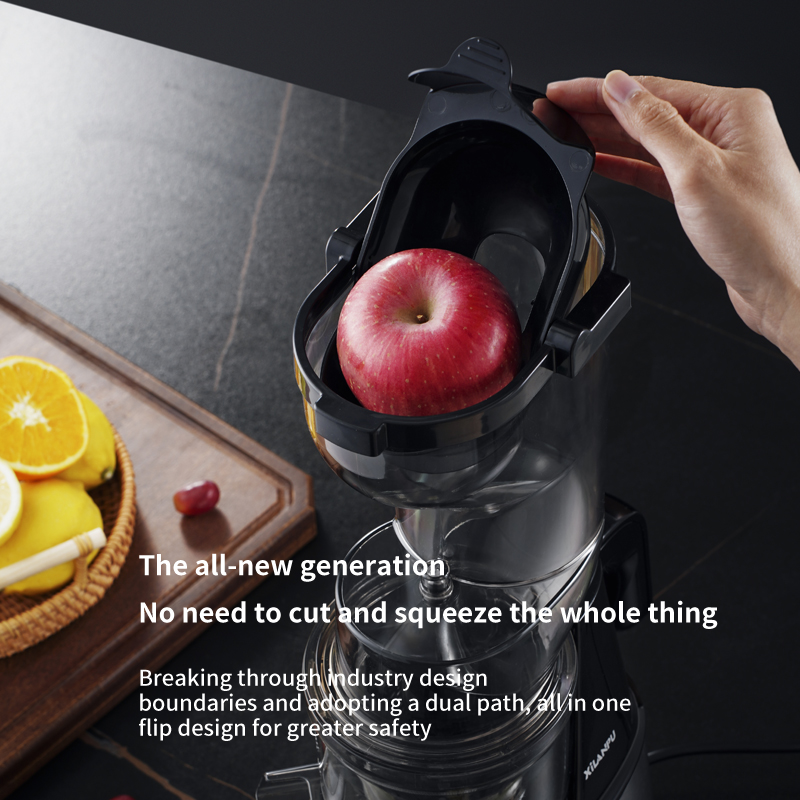 Vegetable Fruit Orange Extract - Electric Slow Juicer Cold Press review and price