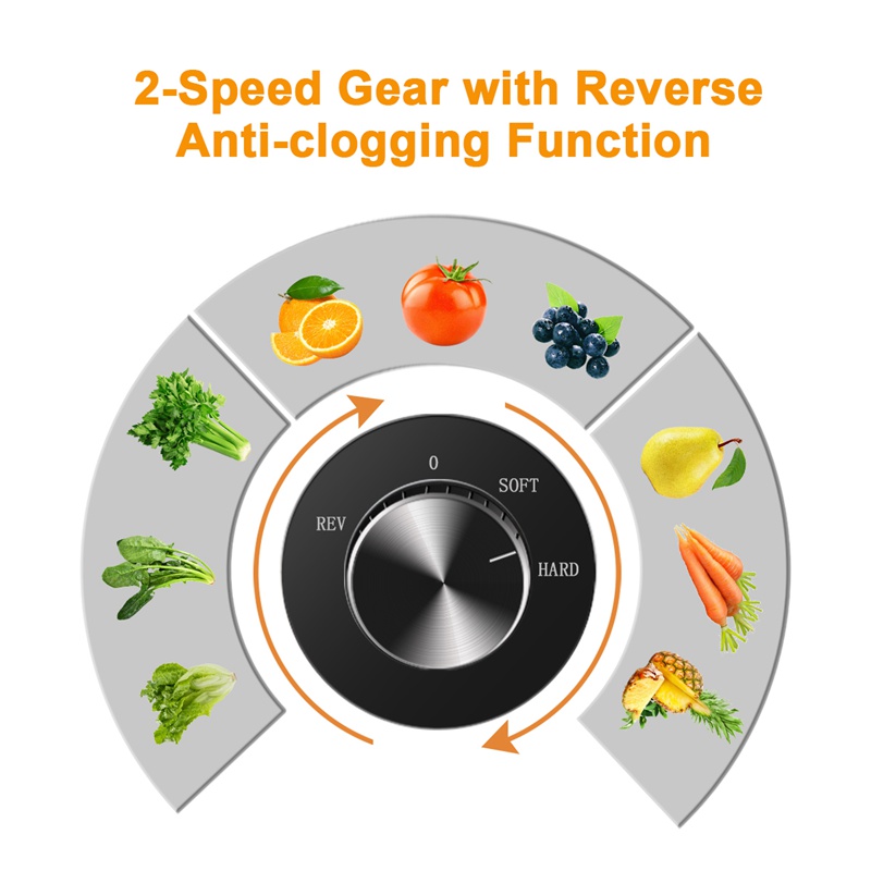 2026-Black Horizontal Slow Jui - Electric Slow Juicer Cold Press review and price