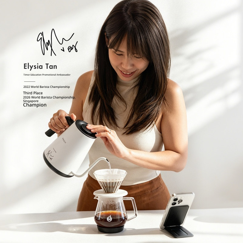 Timemore Fish Pro X Electric G - Electric Kettle Temperature Control review and price