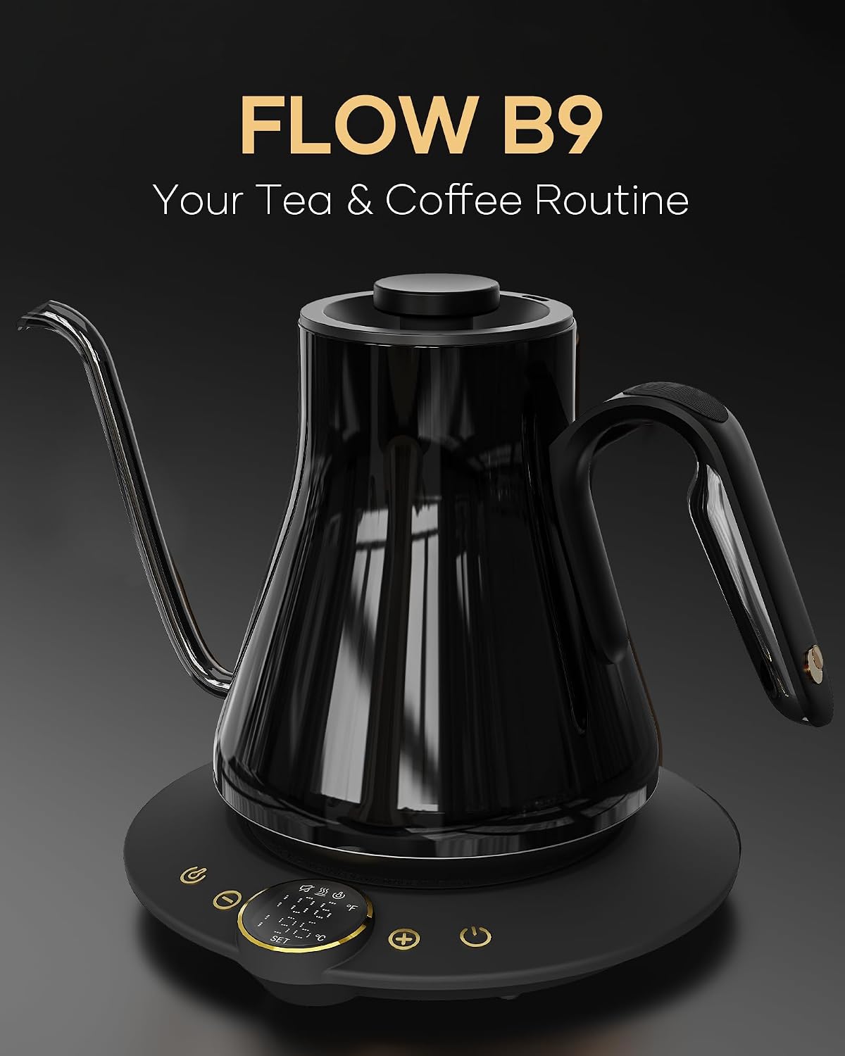 Gooseneck Electric Kettle, ±1° - Electric Kettle Temperature Control review and price
