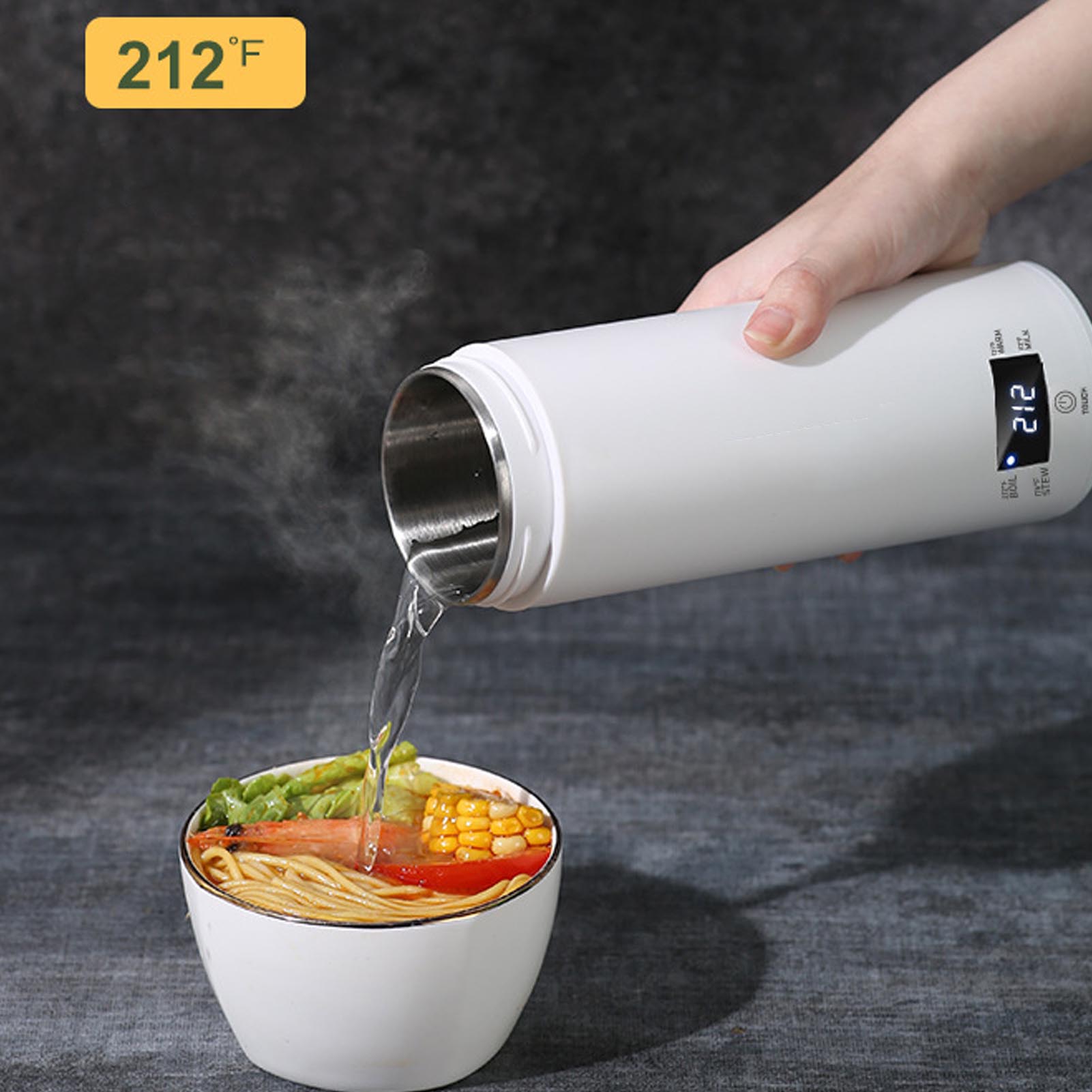 Mini Portable Electric Kettle  - Electric Kettle Temperature Control review and price