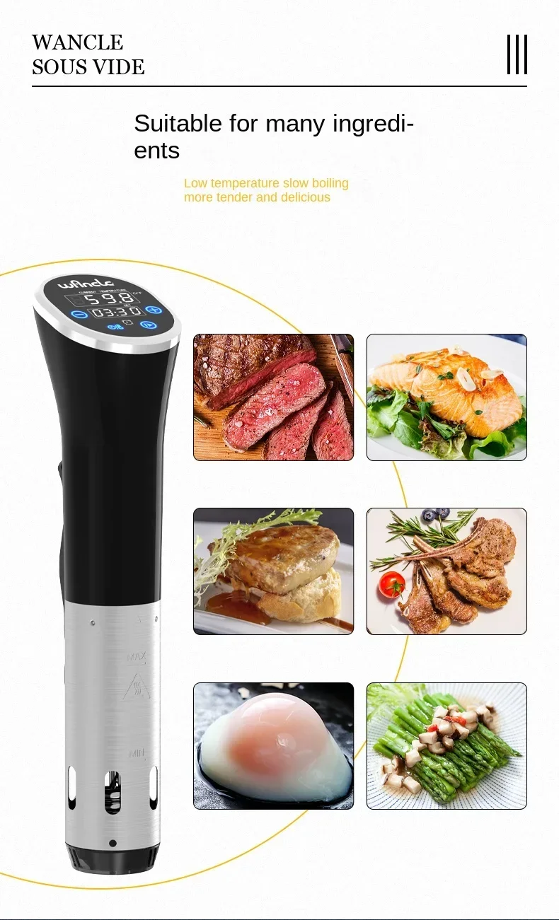 220V Sous Vide Cooker by Wancl - Digital Sous Vide Precision Cooker review and price